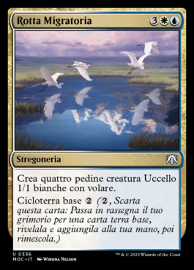 Rotta Migratoria