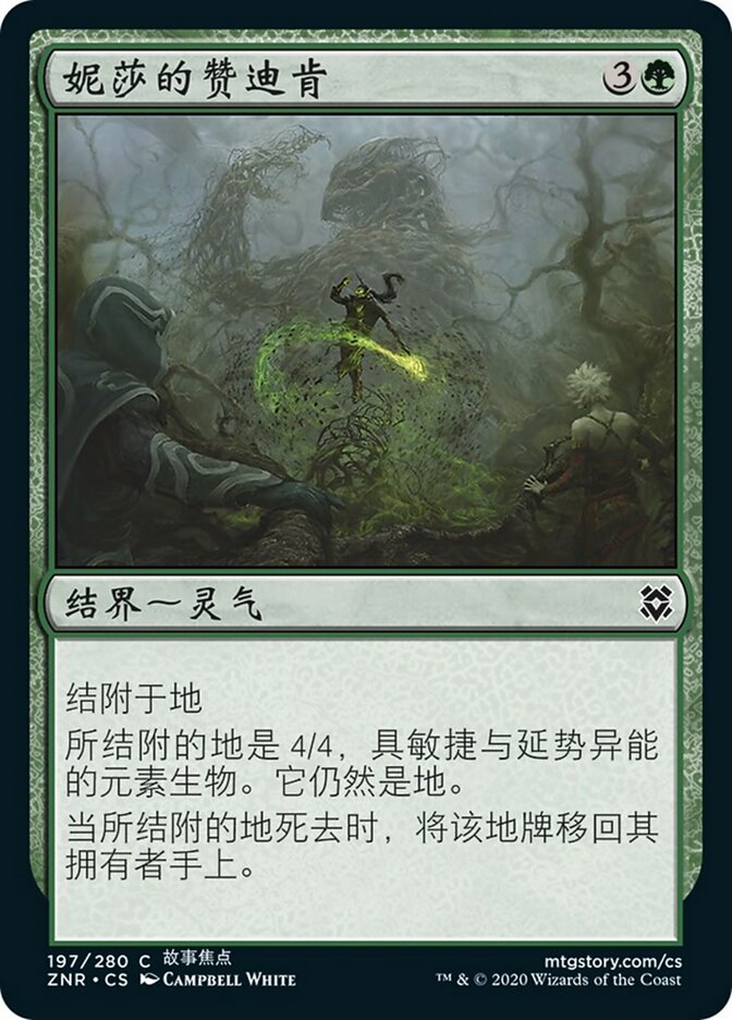 妮莎的赞迪肯