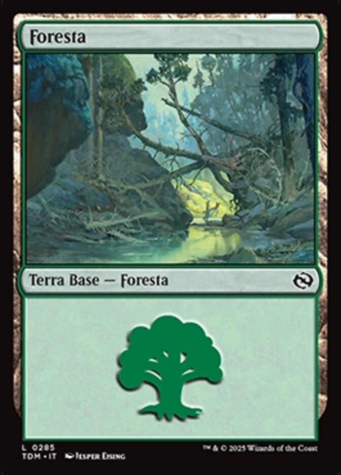 Foresta