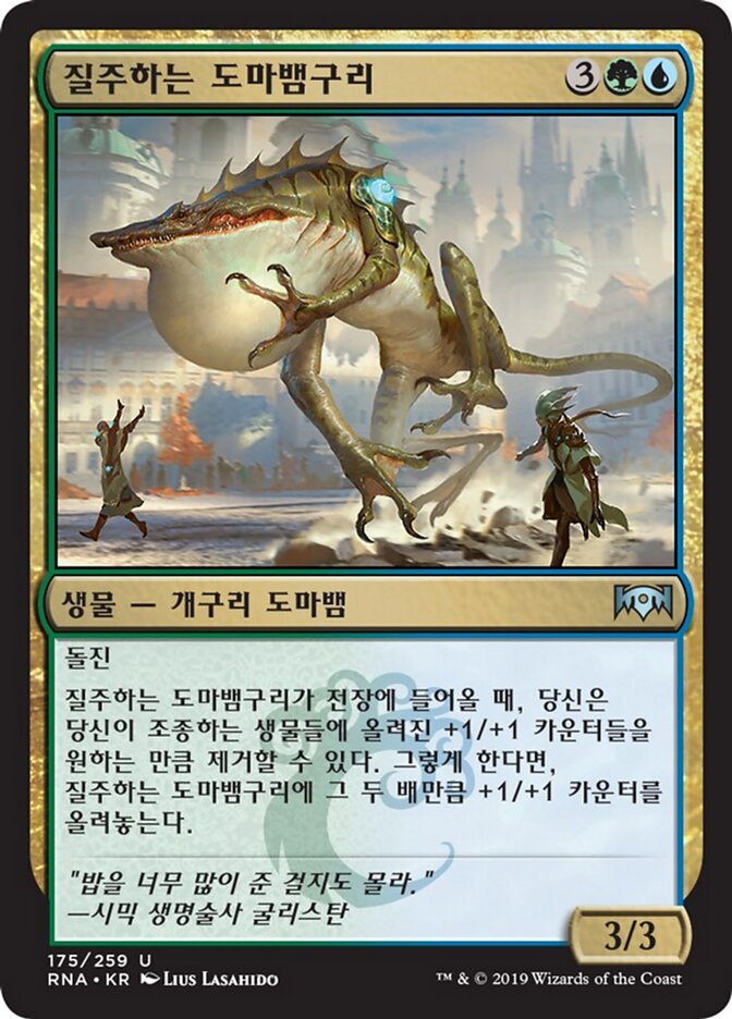질주하는 도마뱀구리