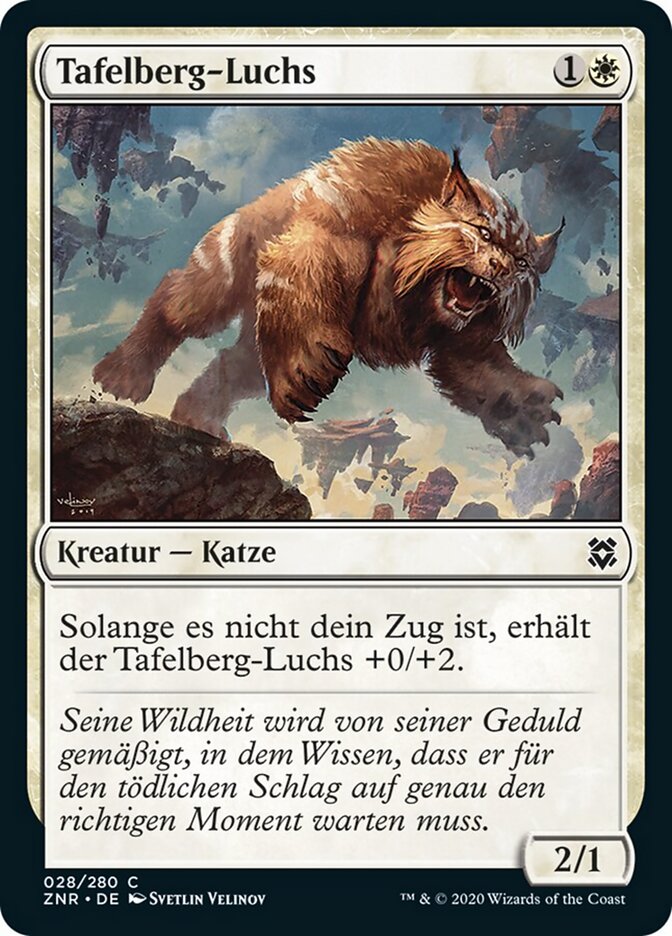 Tafelberg-Luchs