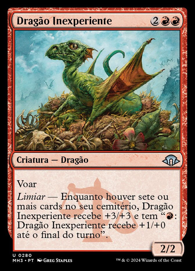 Dragão Inexperiente