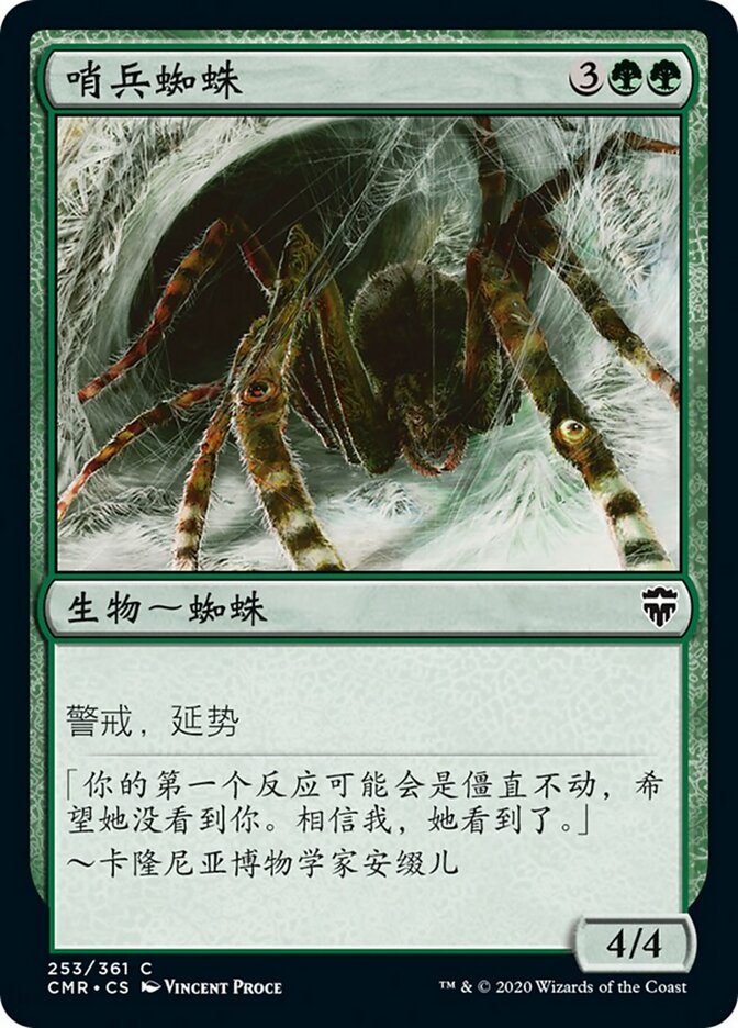 哨兵蜘蛛