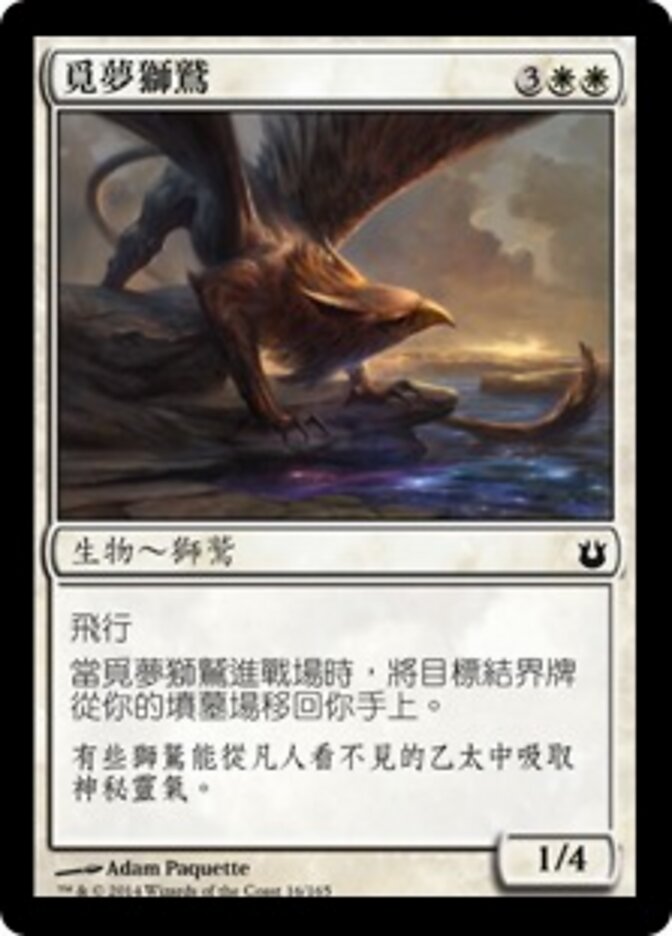 覓夢獅鷲