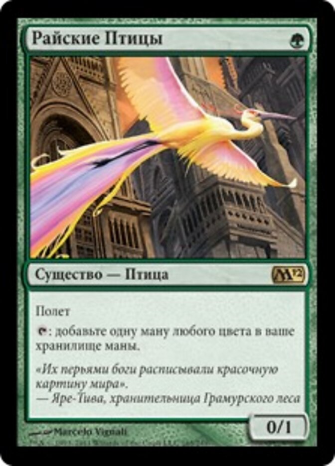 Райские Птицы
