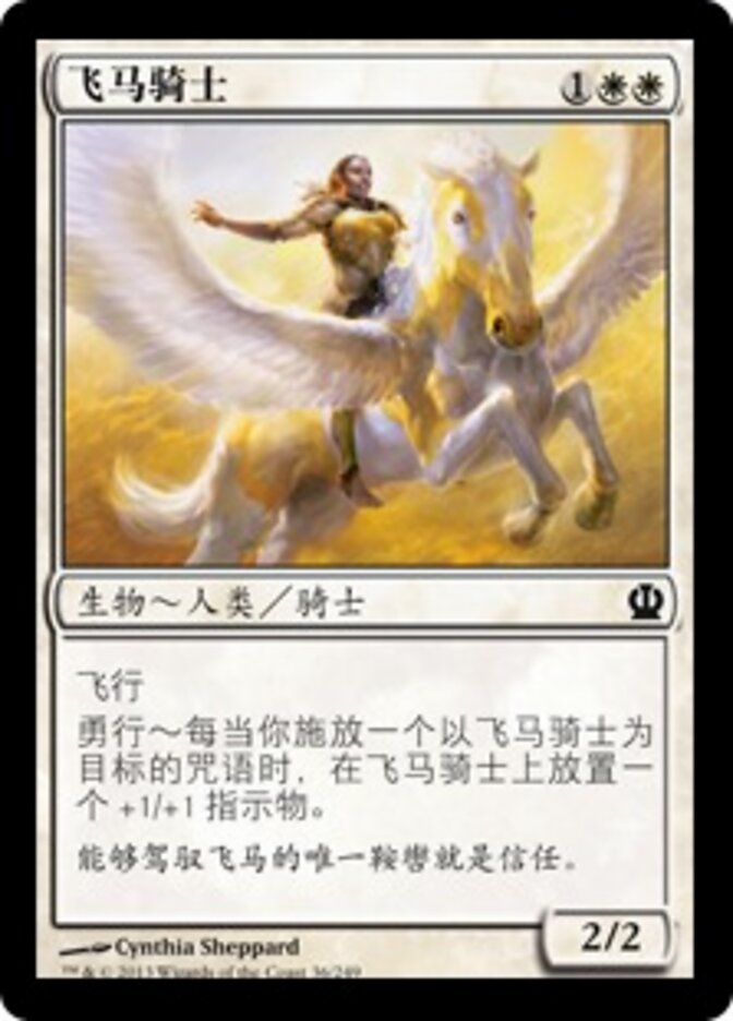 飞马骑士
