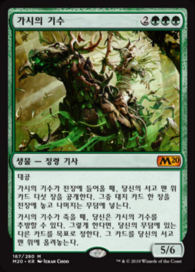 가시의 기수