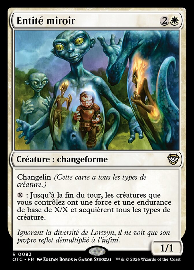 Entité miroir