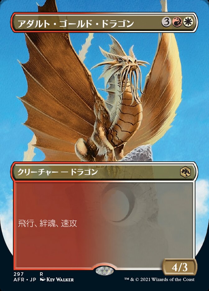アダルト・ゴールド・ドラゴン