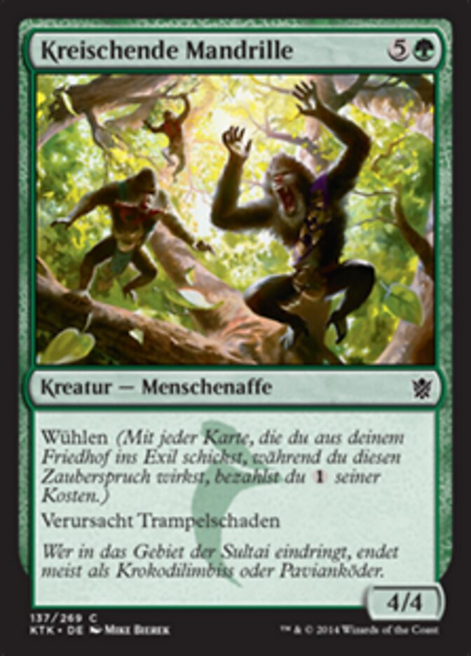 Kreischende Mandrille
