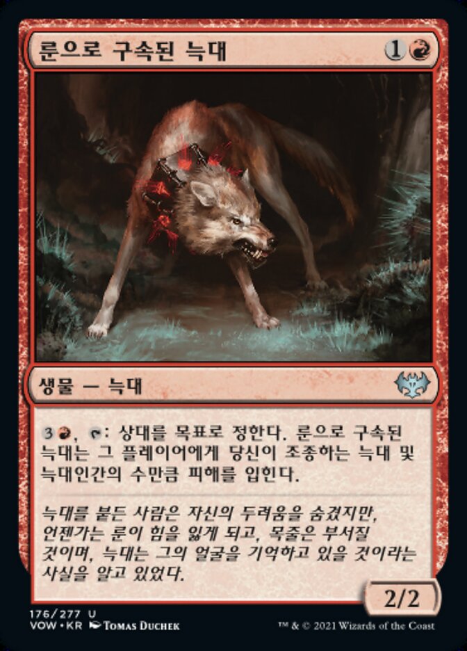 룬으로 구속된 늑대