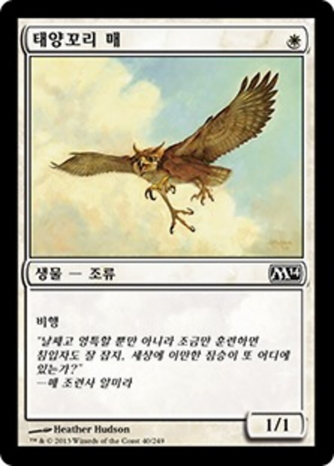 태양꼬리 매