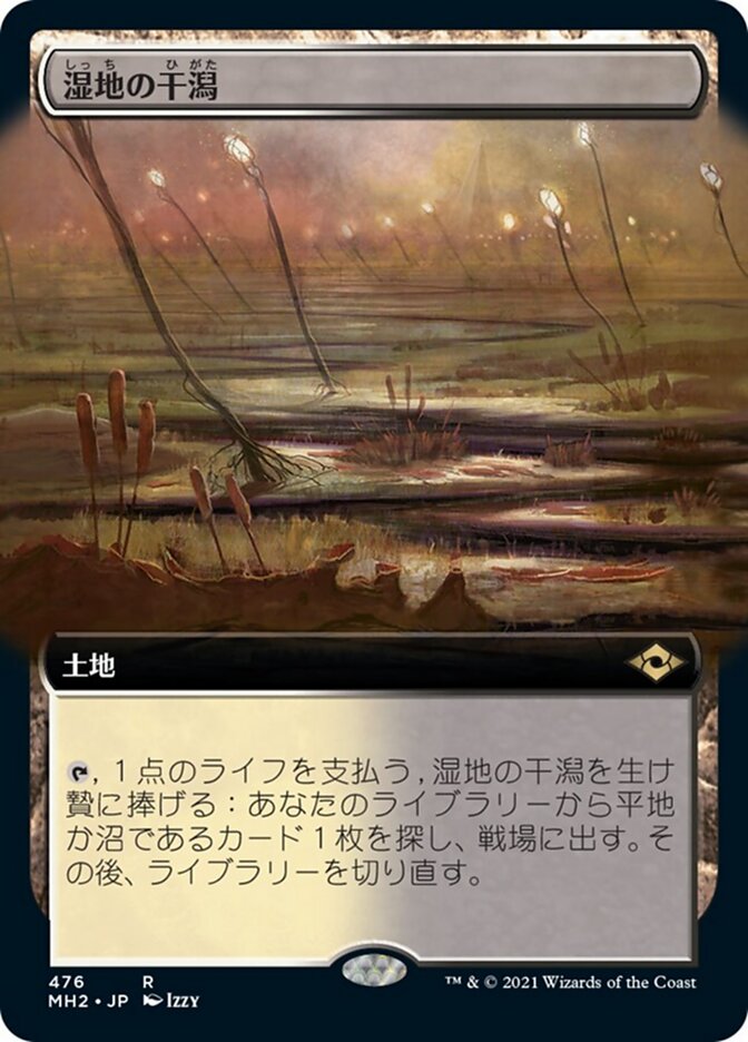 湿地の干潟