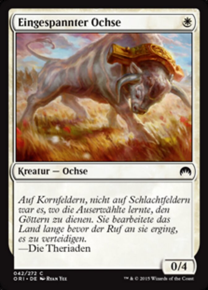 Eingespannter Ochse