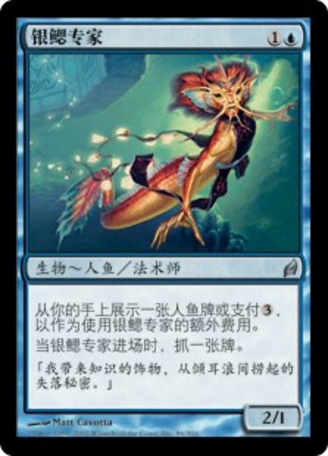 银鳃专家