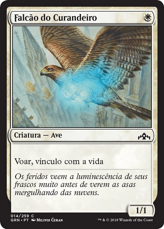 Falcão do Curandeiro