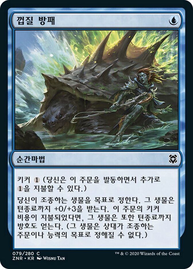 껍질 방패