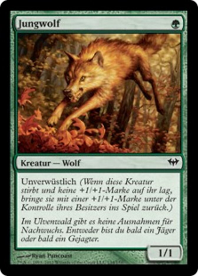 Jungwolf