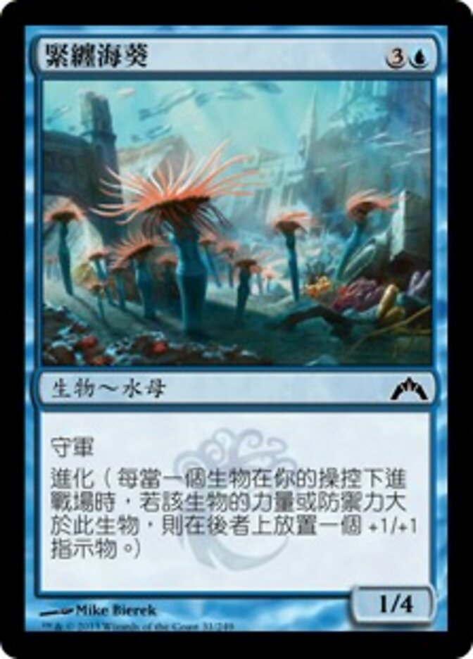 緊纏海葵