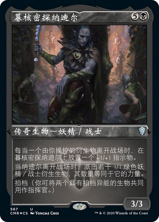 暮核密探纳迪尔