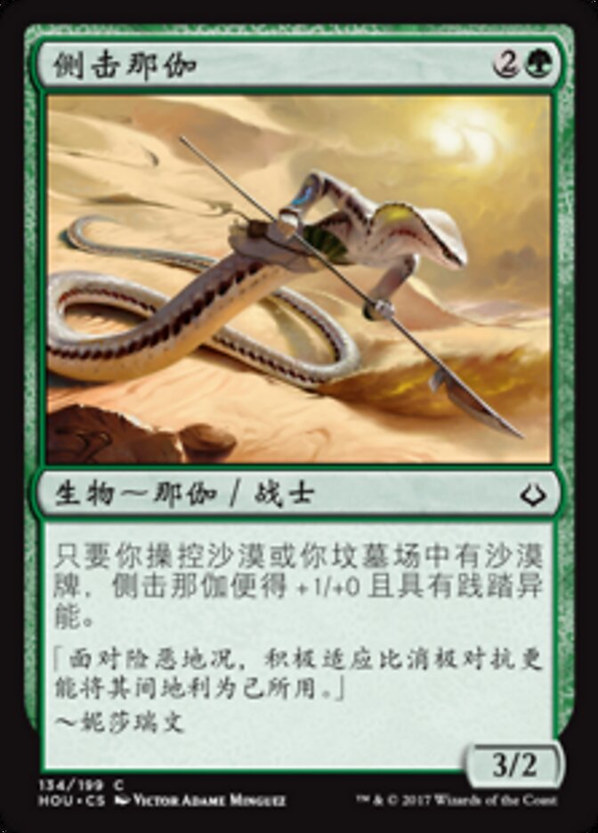 侧击那伽