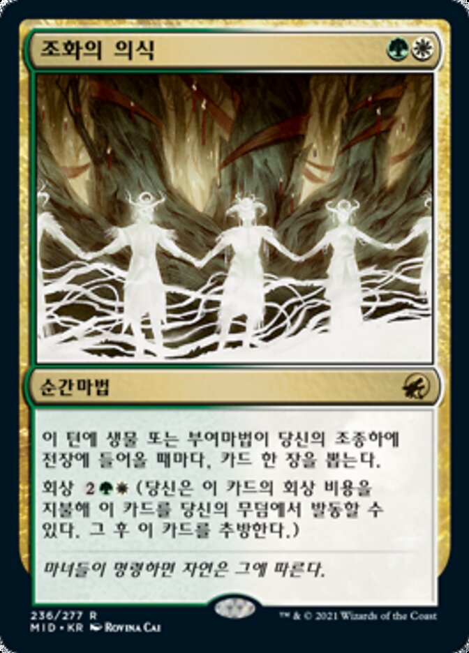 조화의 의식