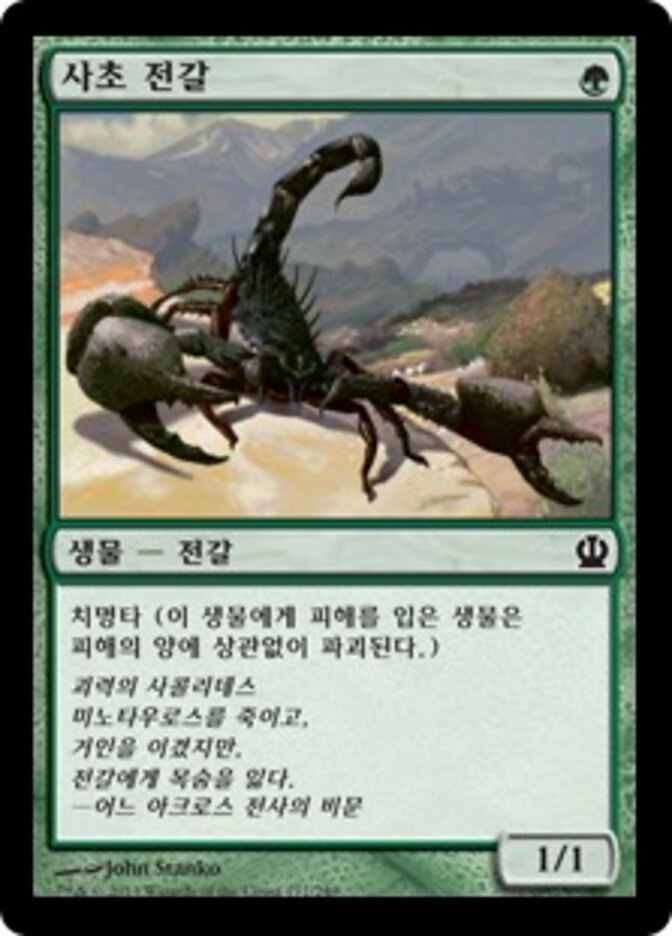 사초 전갈