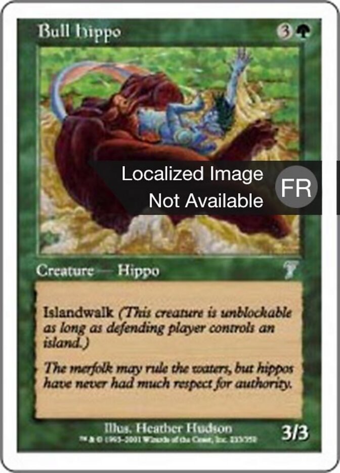 Hippopotame mâle