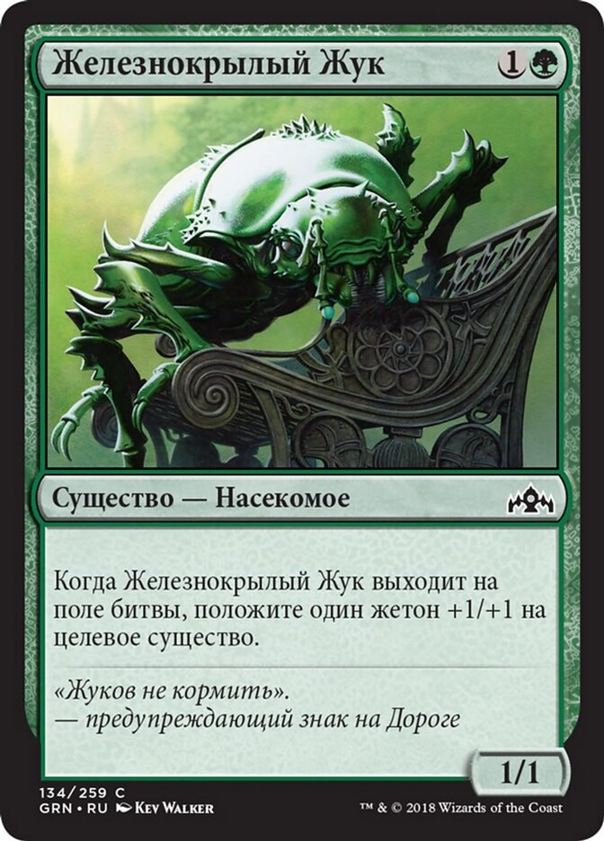 Железнокрылый Жук