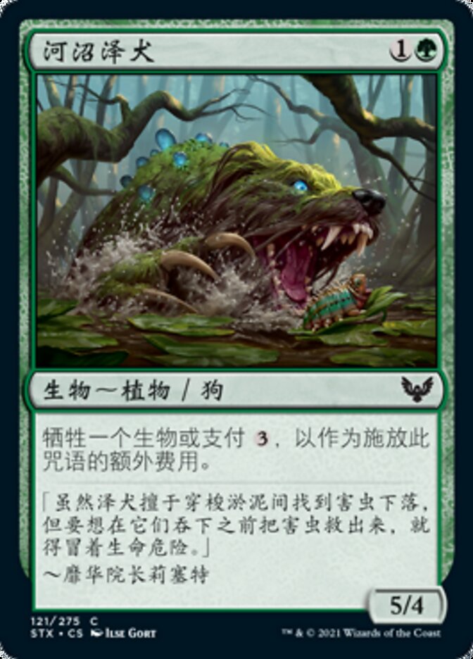 河沼泽犬