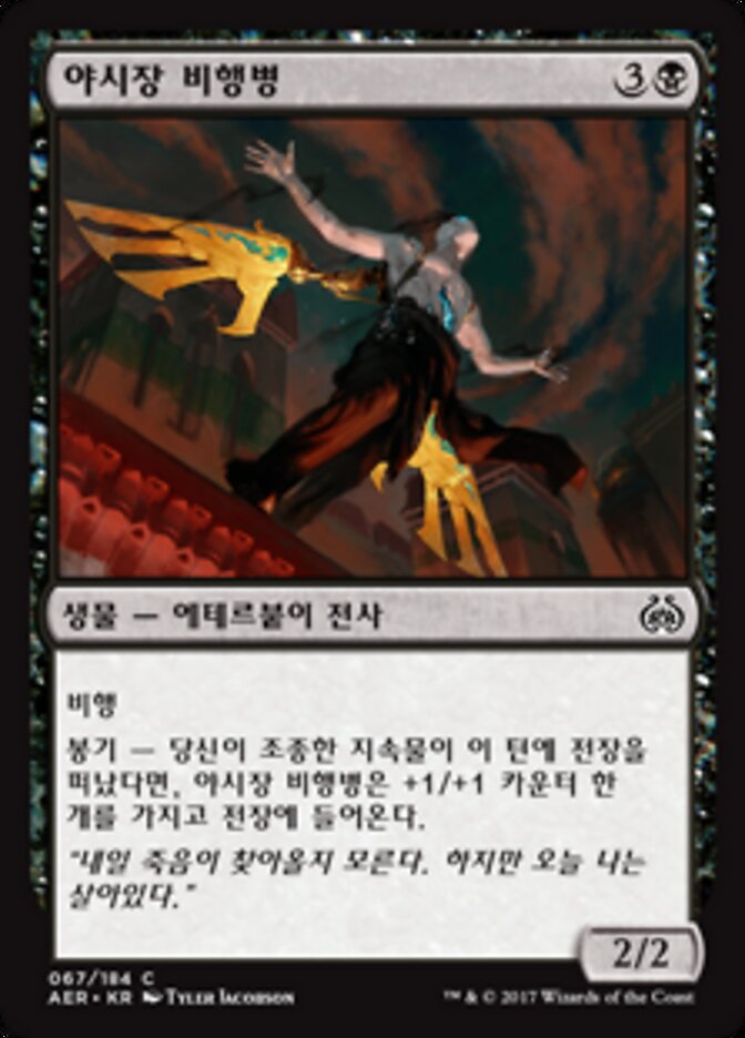 야시장 비행병