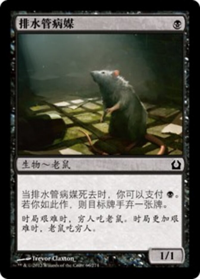 排水管病媒
