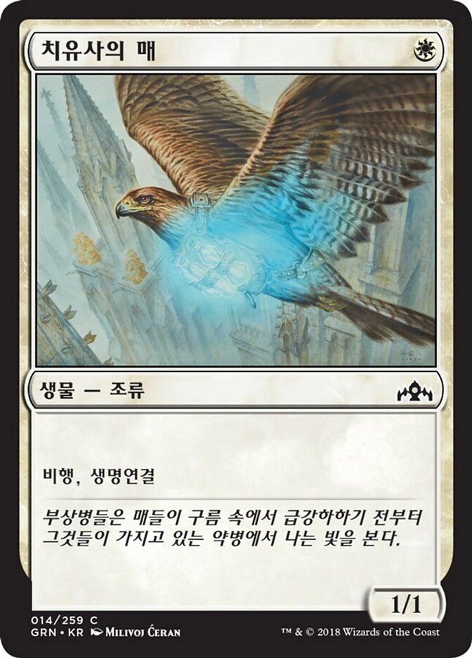 치유사의 매