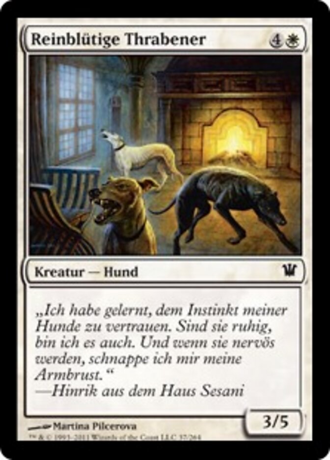 Reinblütige Thrabener