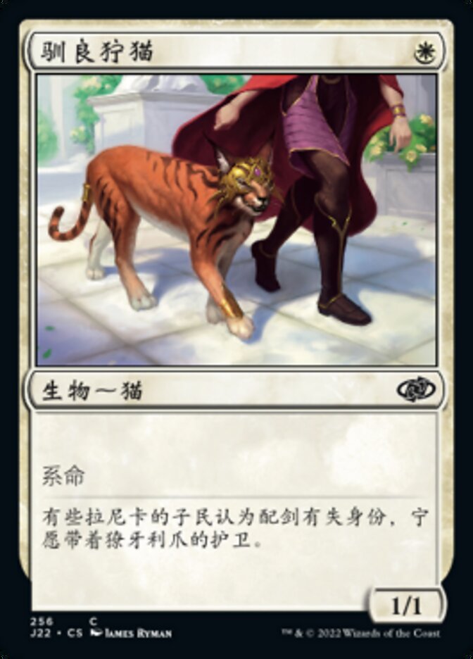 驯良狞猫