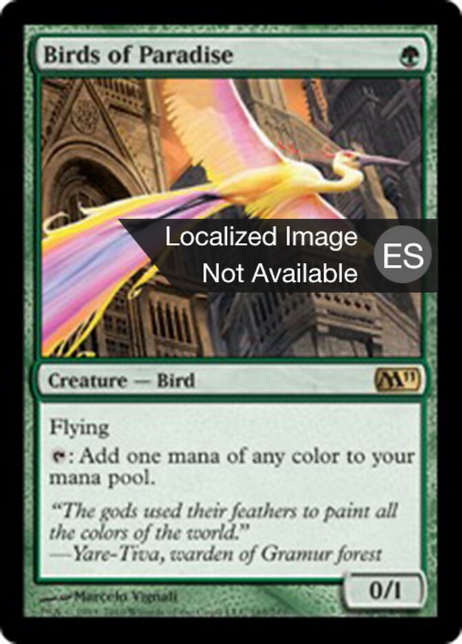 Aves del paraíso