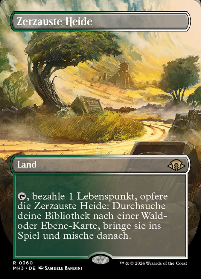 Zerzauste Heide