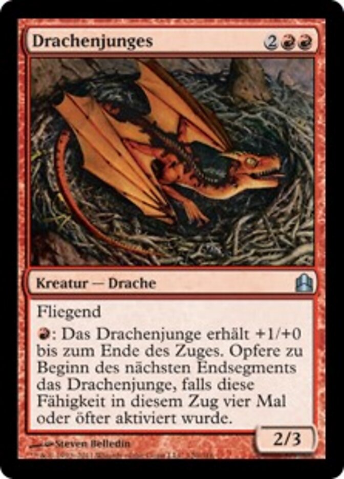 Drachenjunges