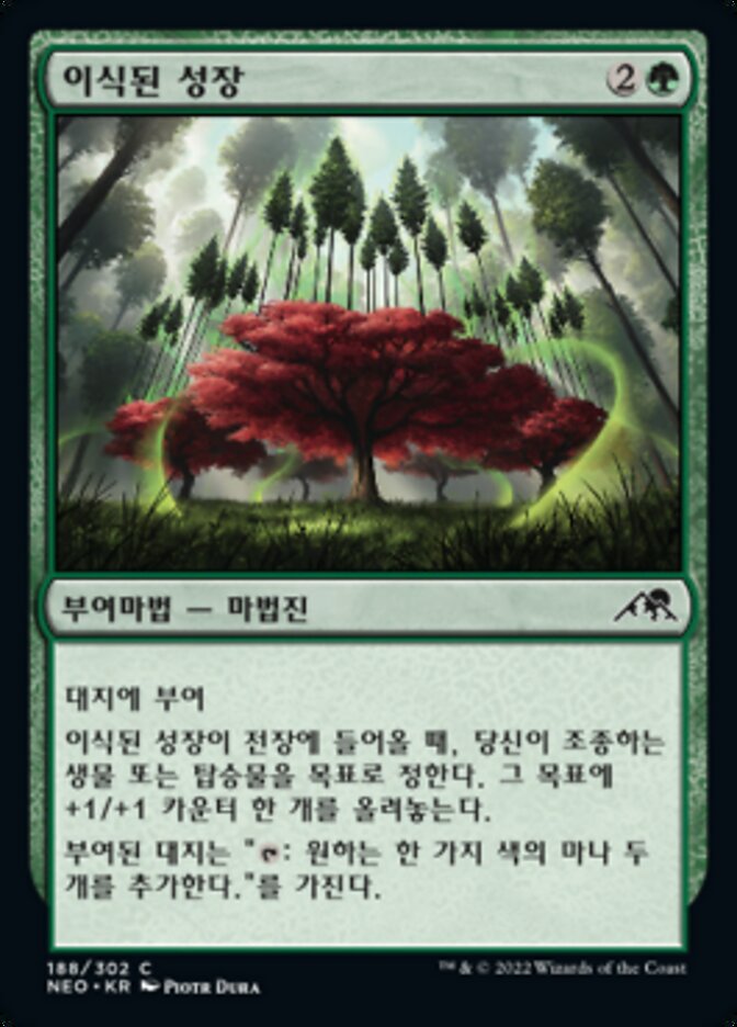 이식된 성장