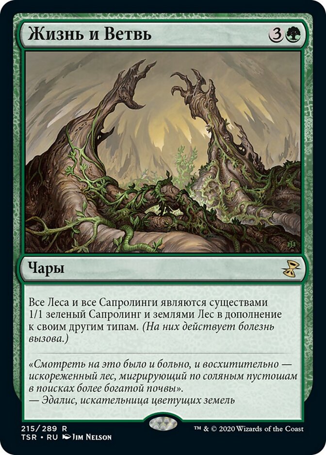 Жизнь и Ветвь