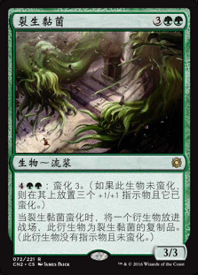 裂生黏菌