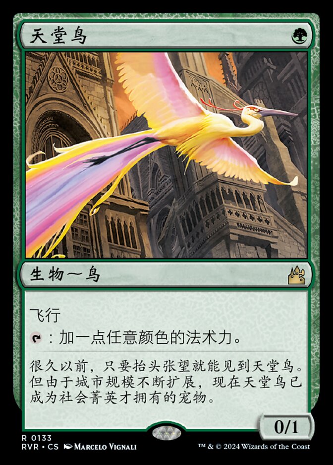 天堂鸟