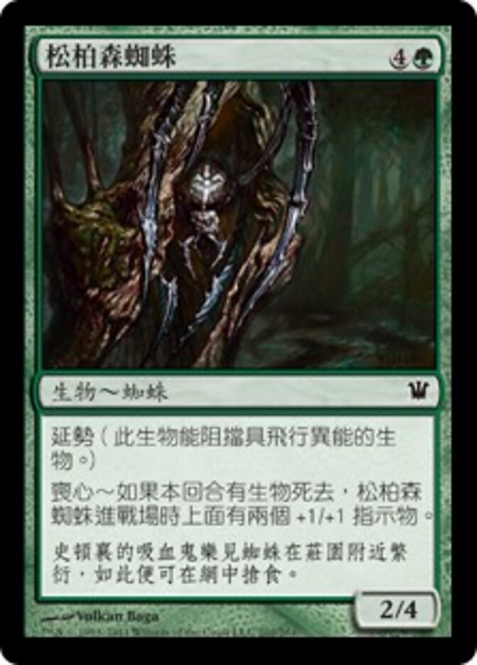 松柏森蜘蛛