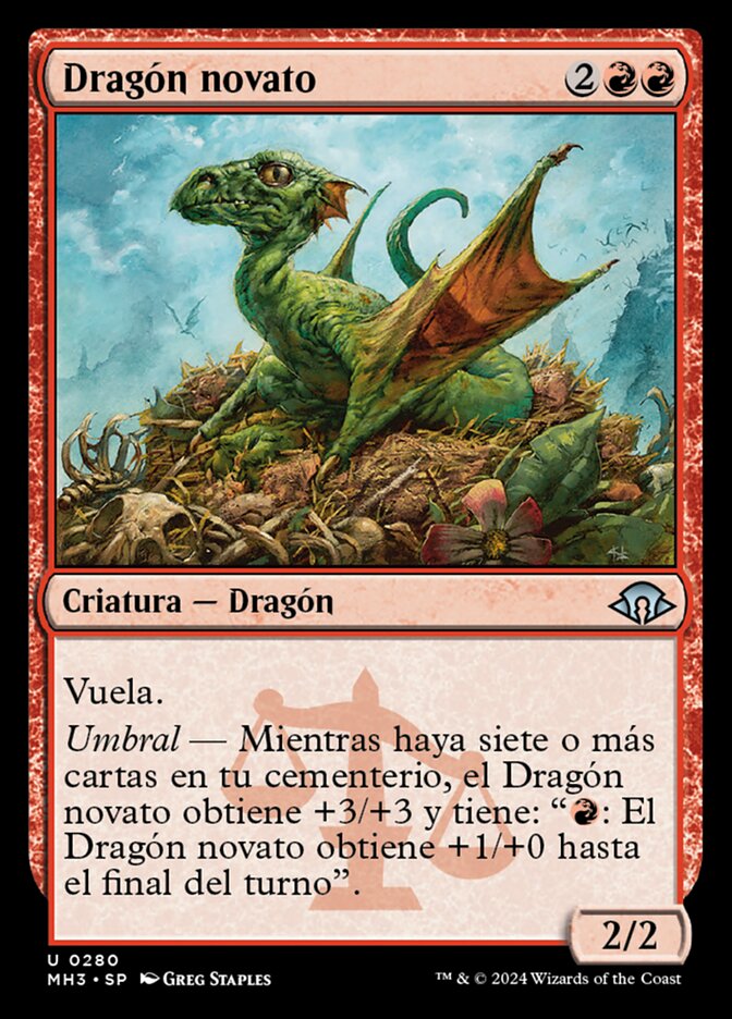 Dragón novato