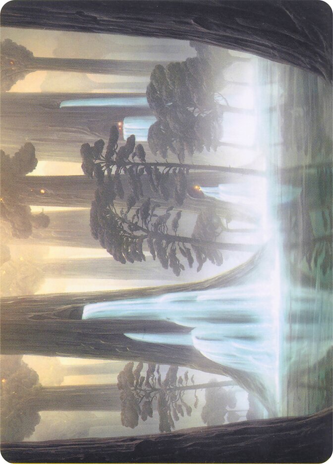 Waterlogged Grove // Waterlogged Grove