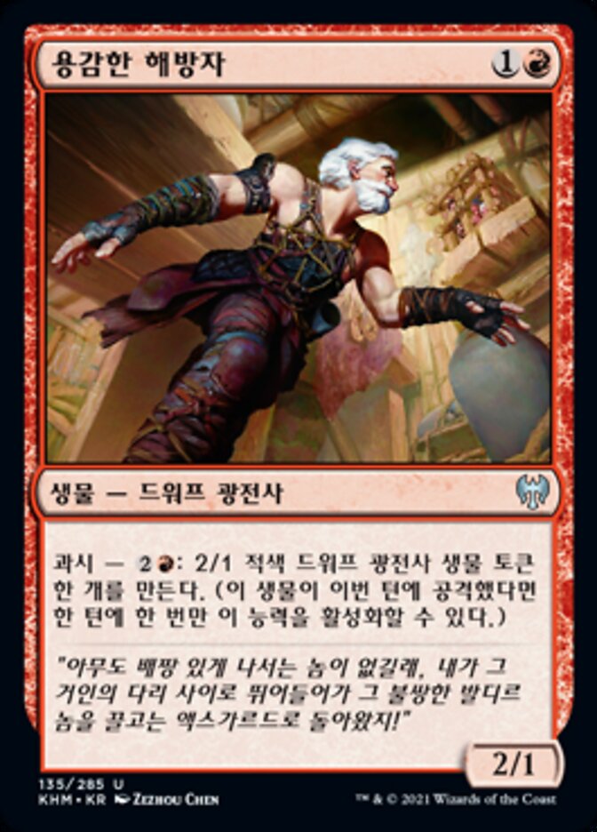 용감한 해방자