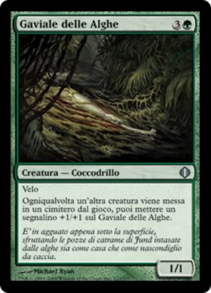 Gaviale delle Alghe