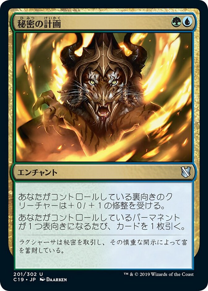 秘密の計画