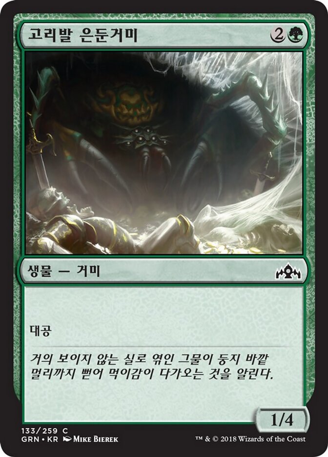 고리발 은둔거미
