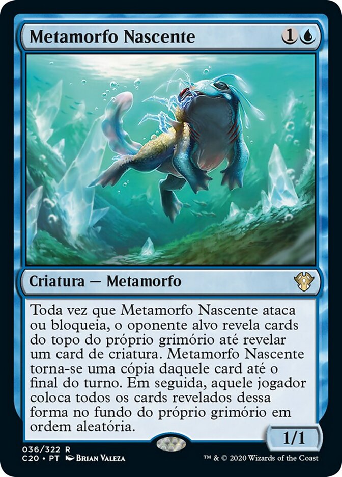 Metamorfo Nascente